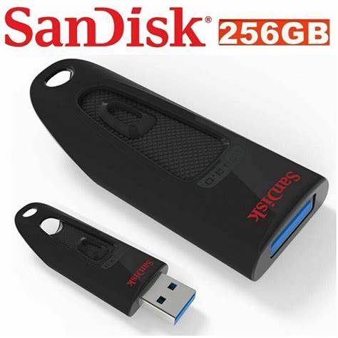 ScanDisk 256Gb - USB Key
